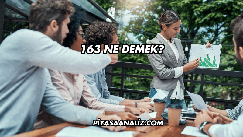 163 Ne Demek?