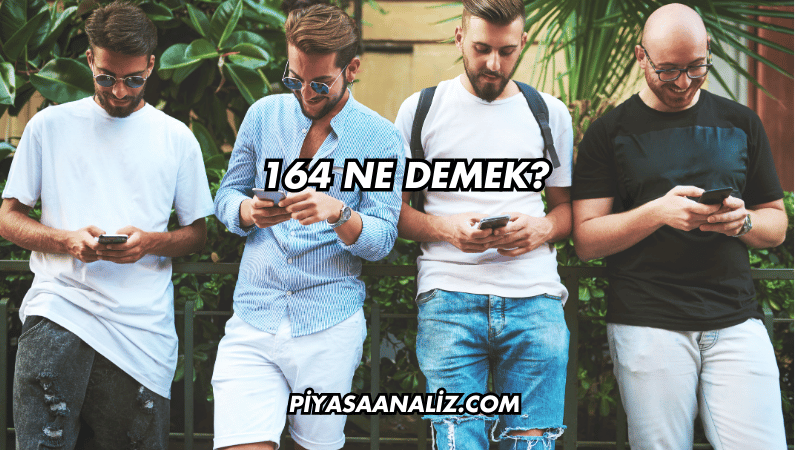 164 Ne Demek?