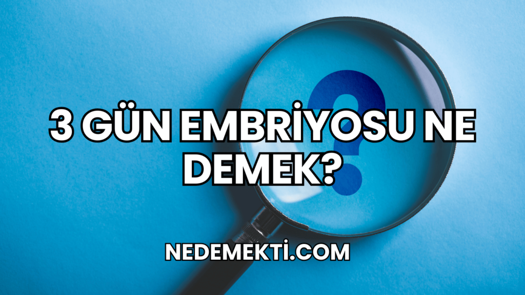 3 Gün Embriyosu Ne Demek?