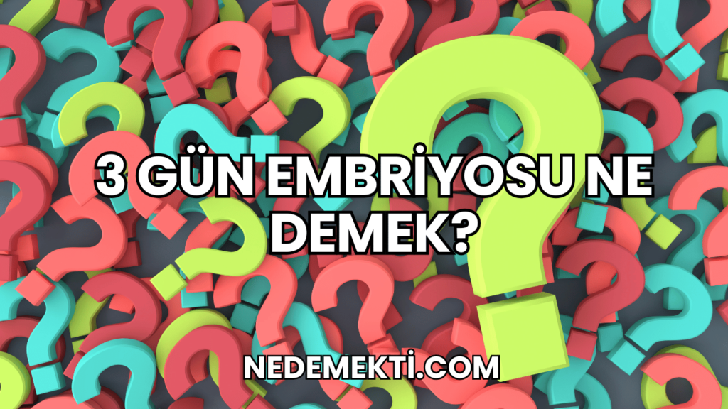 3 Gün Embriyosu Ne Demek?