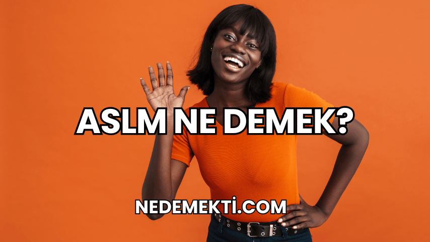 ASLM Ne Demek?