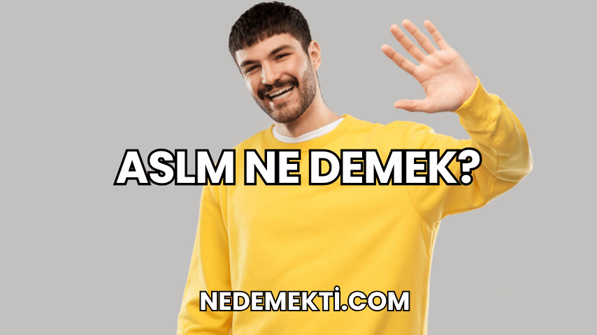 ASLM Ne Demek?