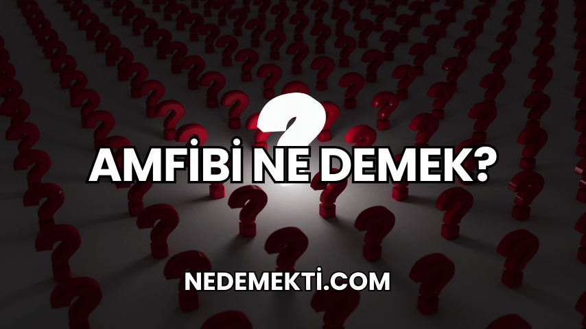 Amfibi Ne Demek?