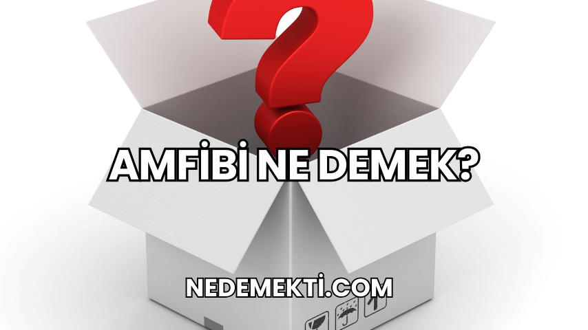 Amfibi Ne Demek?