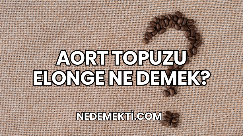 Aort Topuzu Elonge Ne Demek?