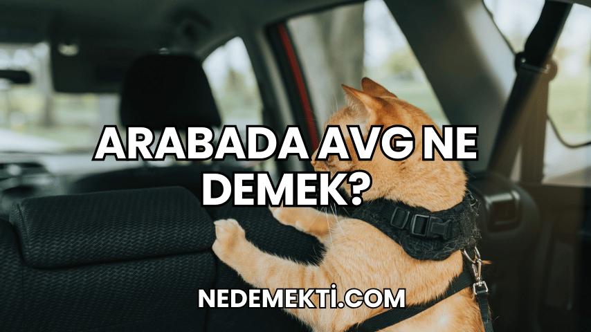 Arabada AVG Ne Demek?