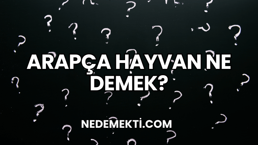 Arapça Hayvan Ne Demek?