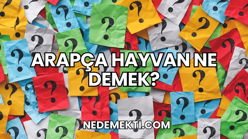 Arapça Hayvan Ne Demek?