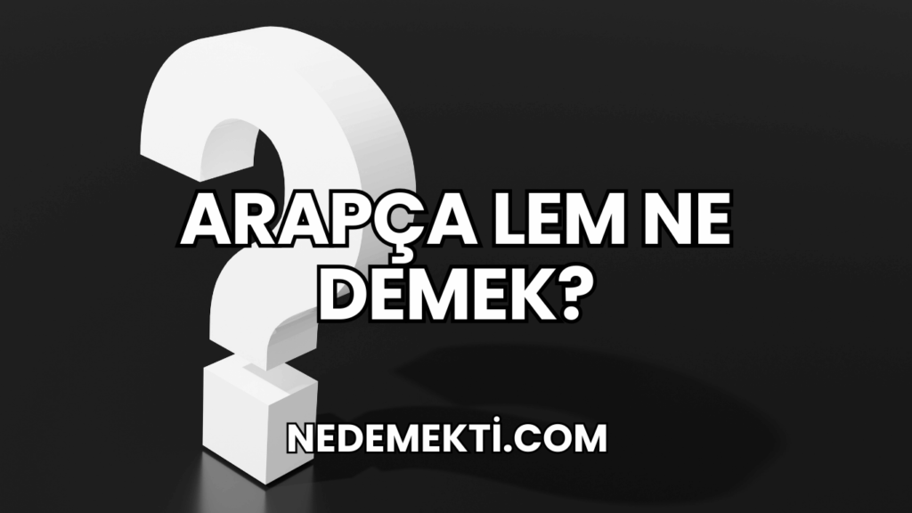 Arapça Lem Ne Demek?