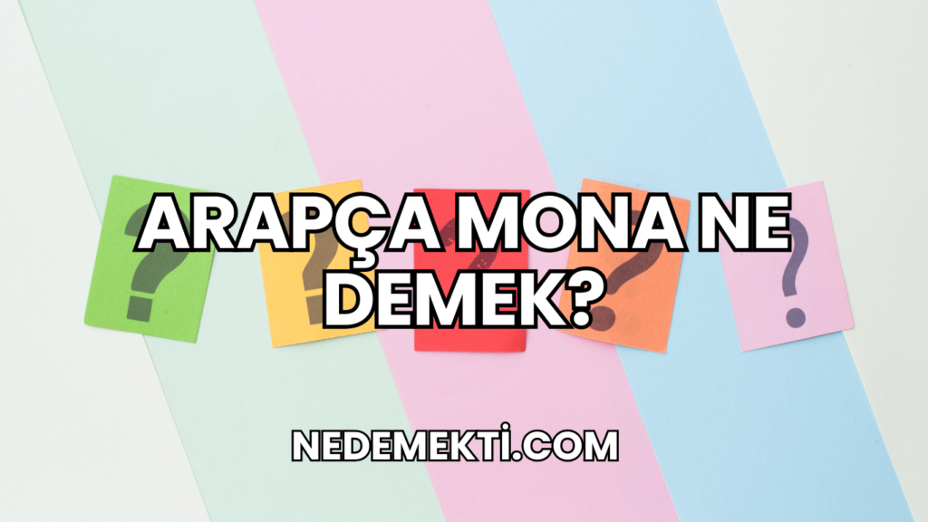 Arapça Mona Ne Demek?