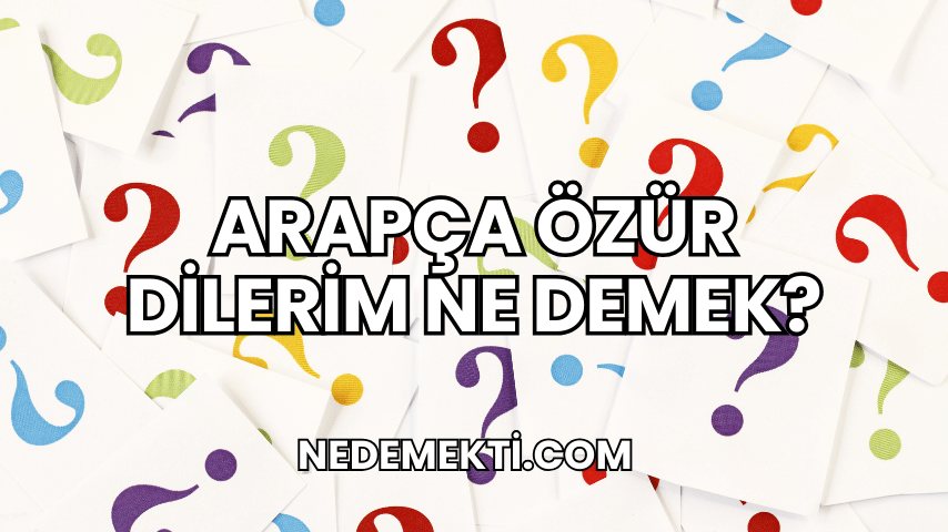 Arapça Özür Dilerim Ne Demek?