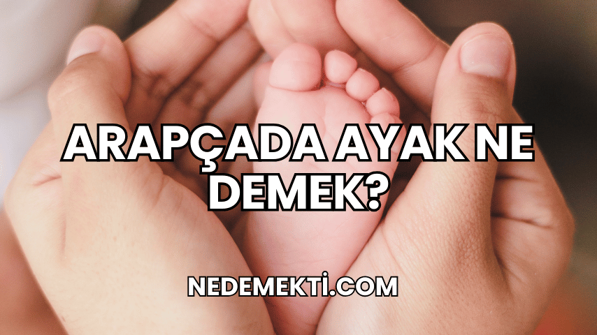 Arapçada Ayak Ne Demek?