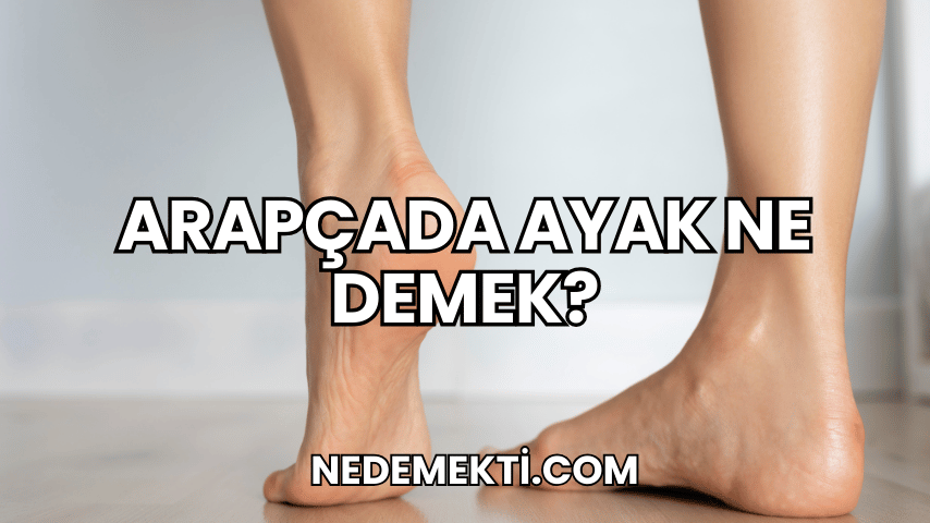 Arapçada Ayak Ne Demek?