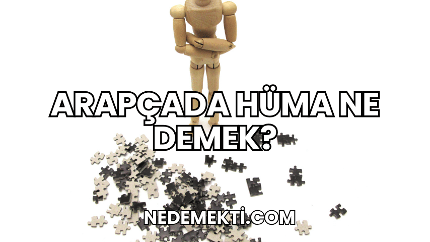 Arapçada Hüma Ne Demek?