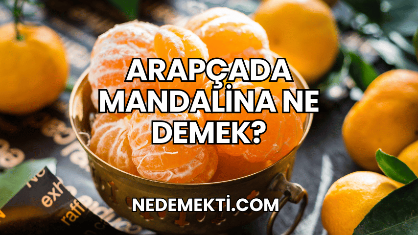 Arapçada Mandalina Ne Demek?