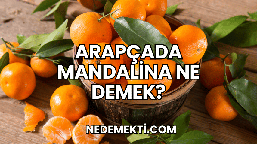 Arapçada Mandalina Ne Demek?