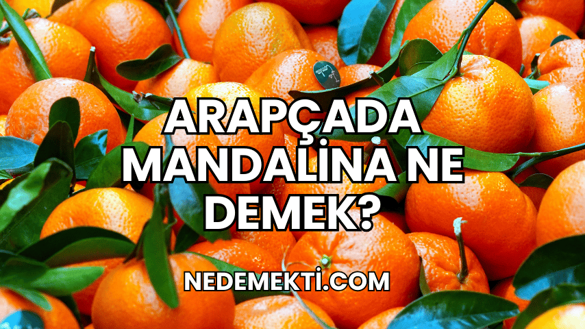 Arapçada Mandalina Ne Demek?