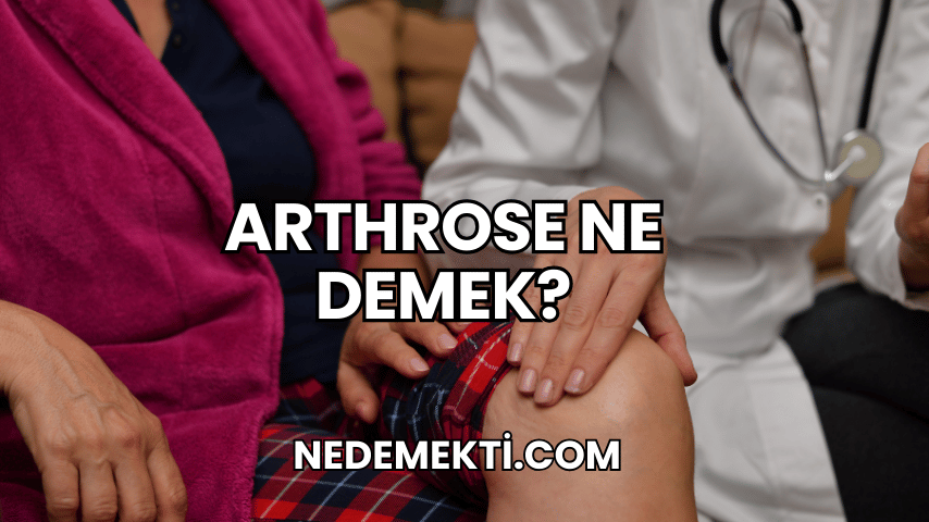 Arthrose Ne Demek?