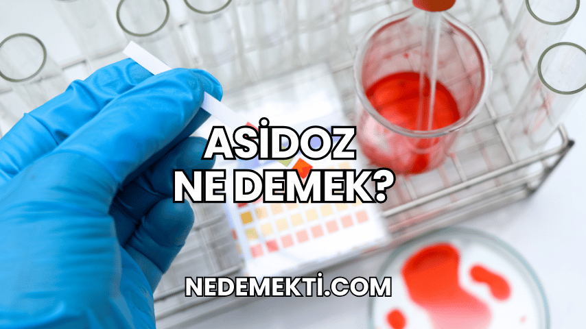 Asidoz Ne Demek?