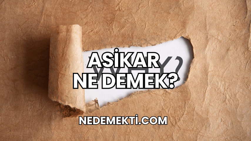 Asikar Ne Demek?