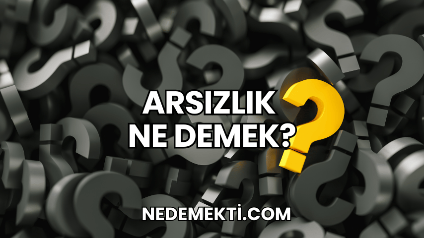 Arsızlık Ne Demek?