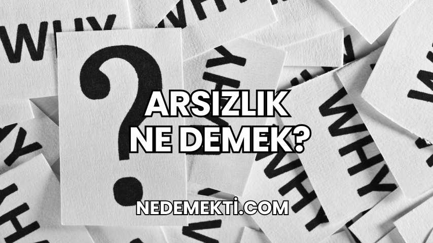 Arsızlık Ne Demek?