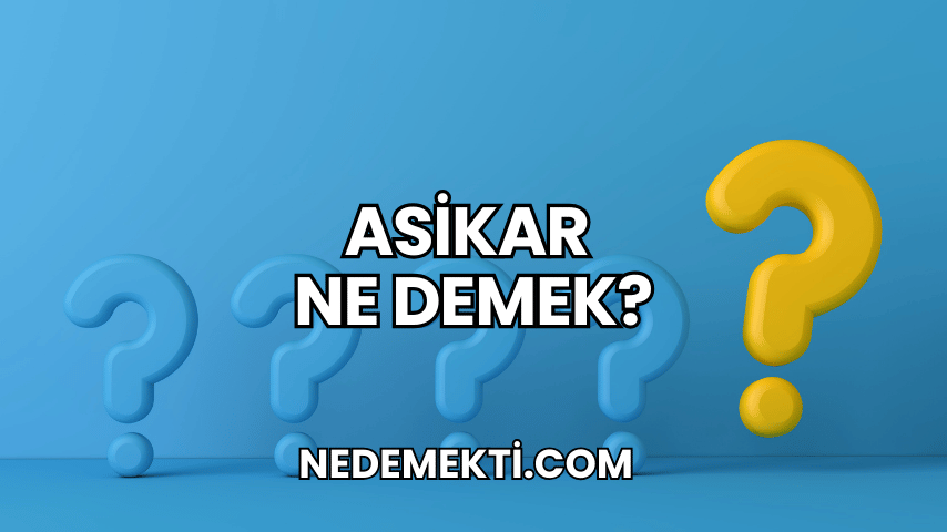 Asikar Ne Demek?