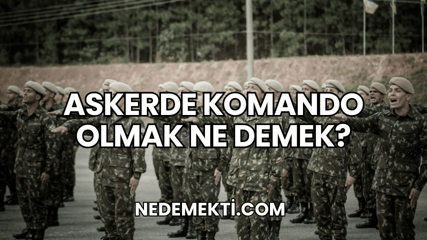 Askerde Komando Olmak Ne Demek?