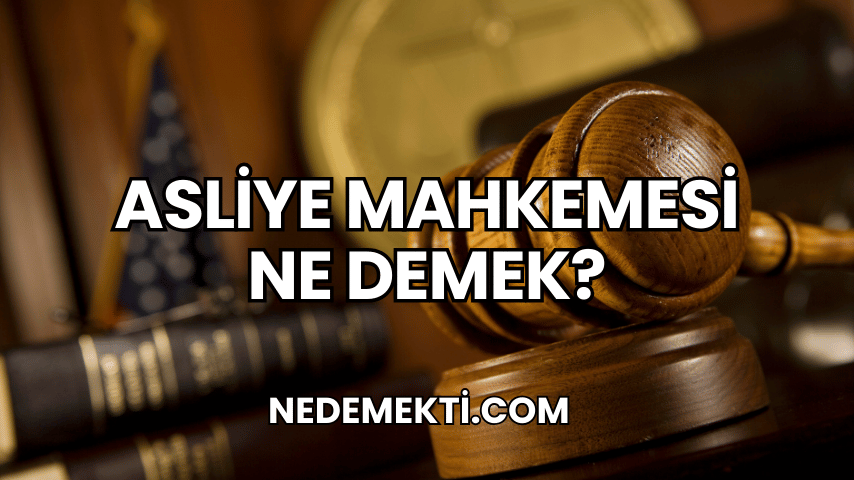 Asliye Mahkemesi Ne Demek?