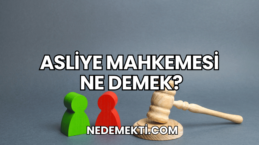 Asliye Mahkemesi Ne Demek?