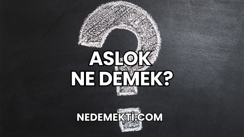 Aslok Ne Demek?