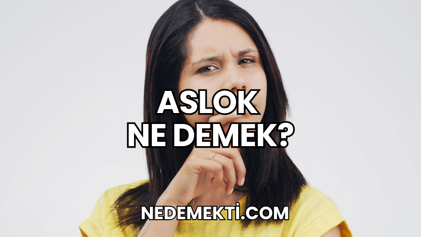 Aslok Ne Demek?