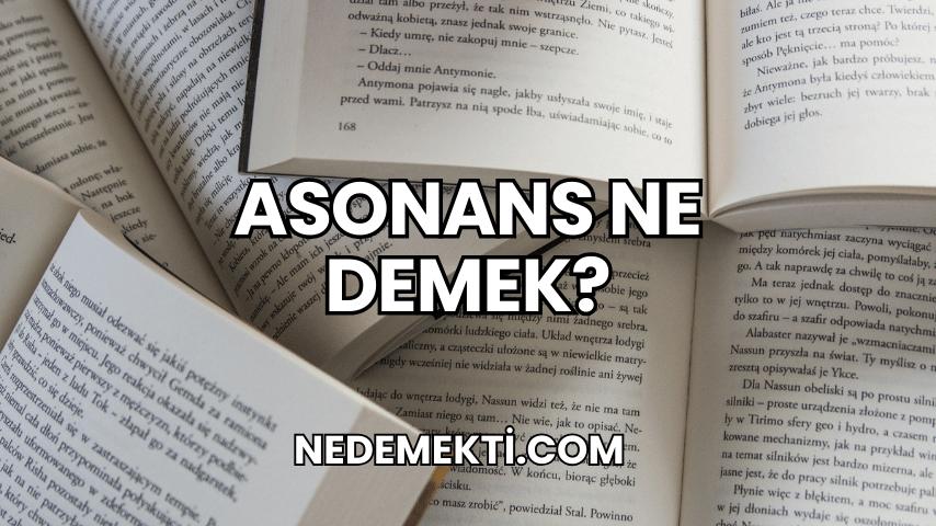 Asonans Ne Demek?