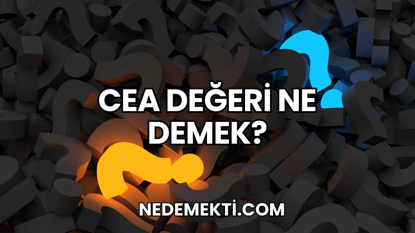 CEA Değeri Ne Demek?