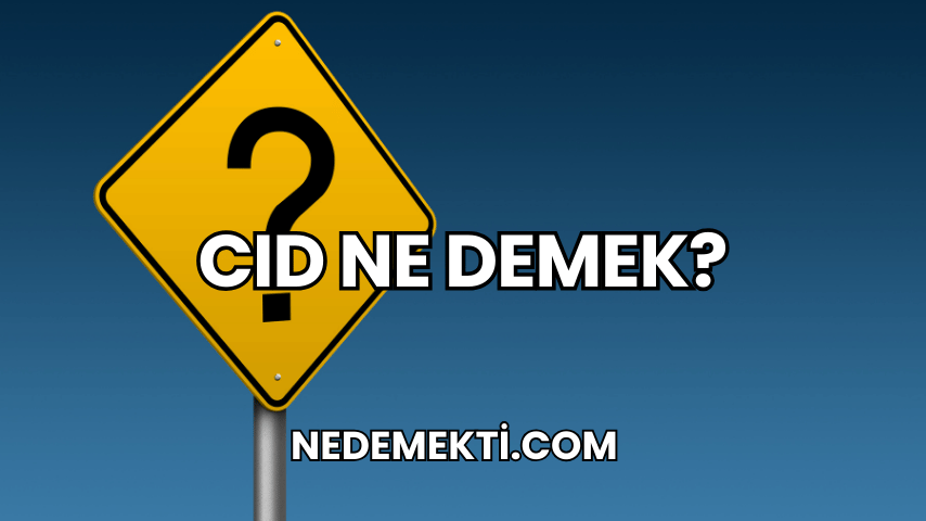 CID Ne Demek?