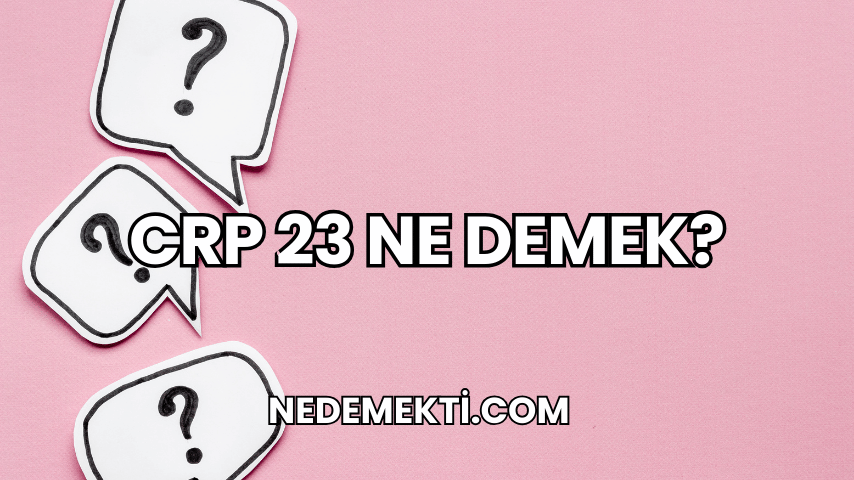 CRP 23 Ne Demek?