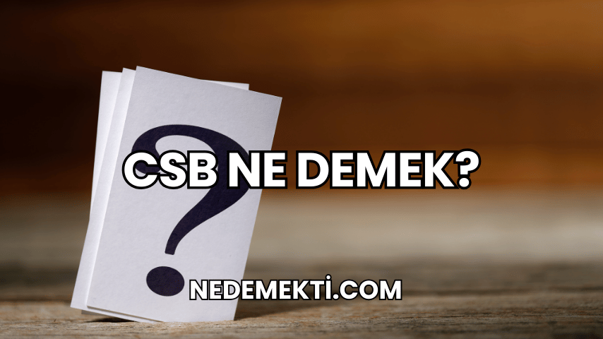 CSB Ne Demek?