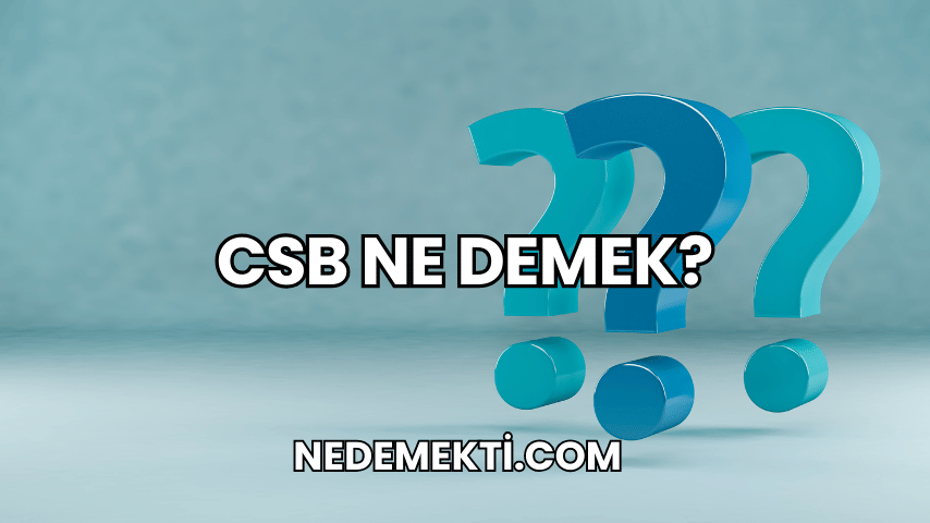 CSB Ne Demek?