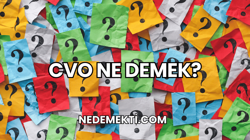 CVO Ne Demek?