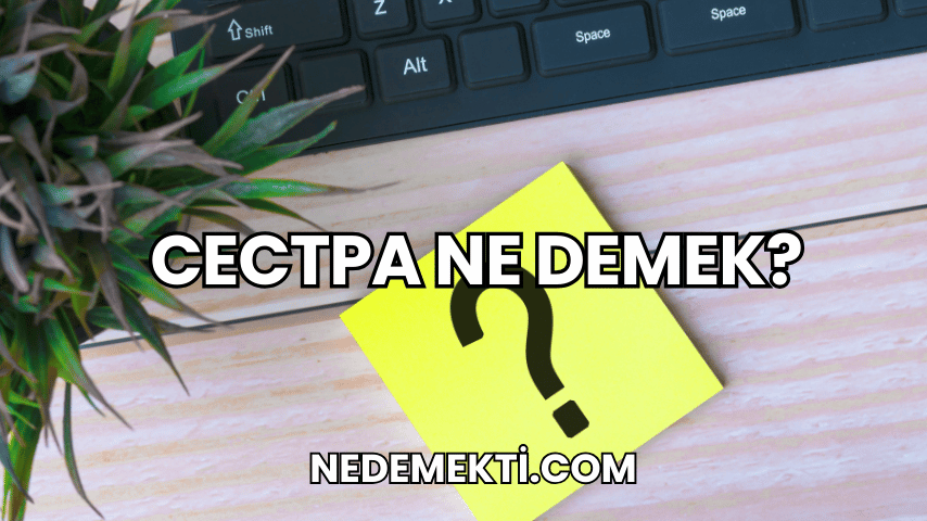 Cectpa Ne Demek?