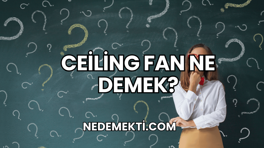 Ceiling Fan Ne Demek?