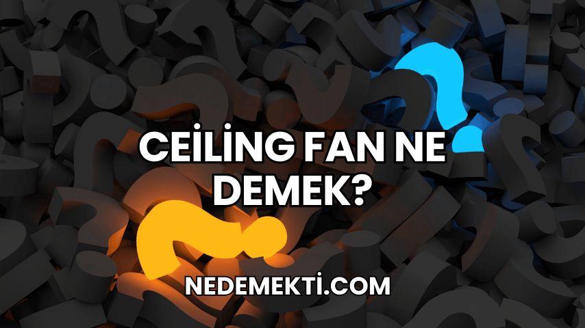 Ceiling Fan Ne Demek?