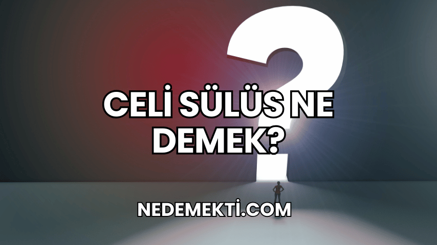 Celi Sülüs Ne Demek?