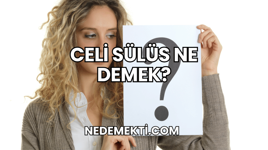 Celi Sülüs Ne Demek?