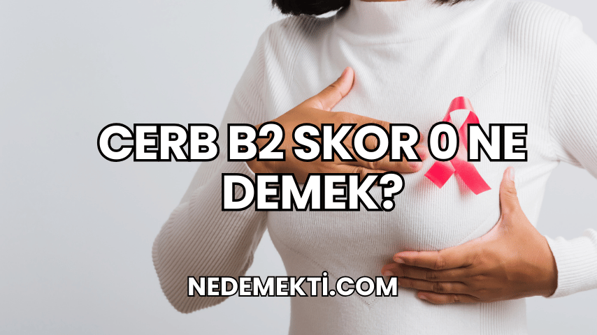 Cerb B2 Skor 0 Ne Demek?