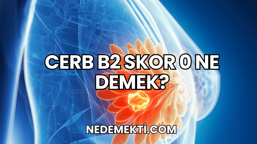 Cerb B2 Skor 0 Ne Demek?