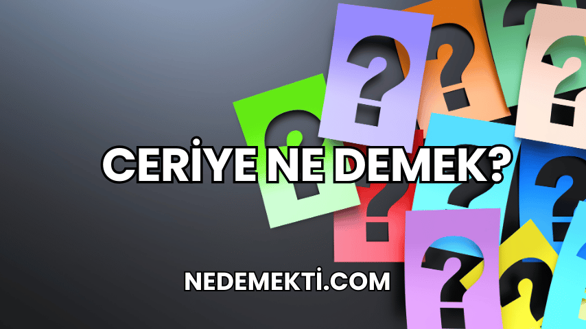 Ceriye Ne Demek?