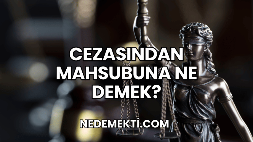 Cezasından Mahsubuna Ne Demek?