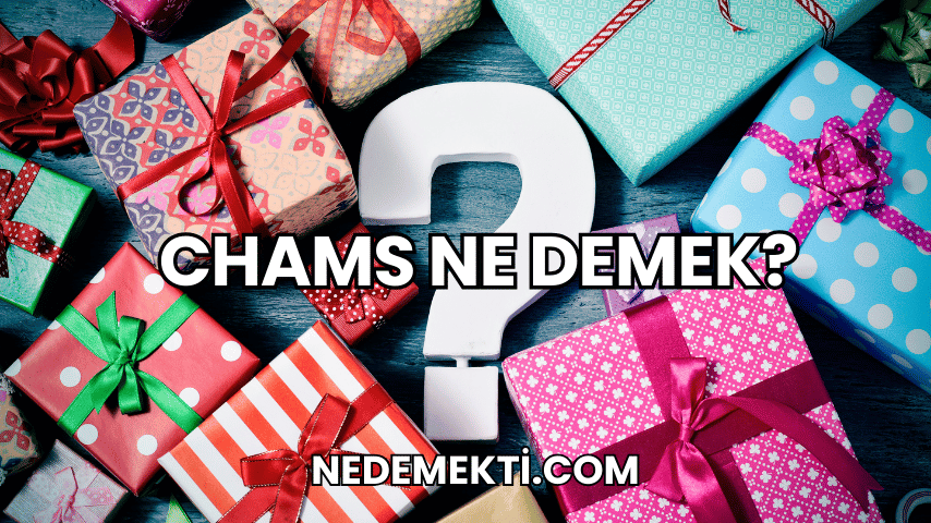 Chams Ne Demek?