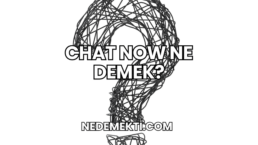 Chat Now Ne Demek?